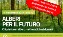 Alessandria, rinviato l'appuntamento "Alberi per il futuro"