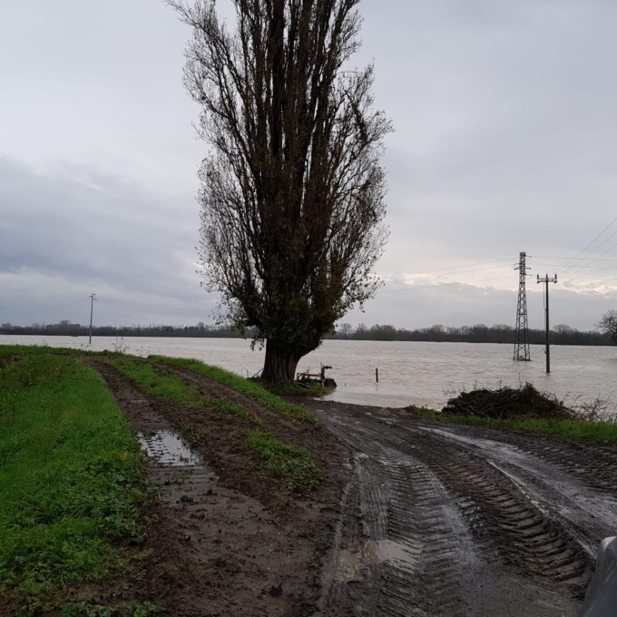 Confagricoltura provinciale: le campagne alessandrine ancora colpite  dal maltempo