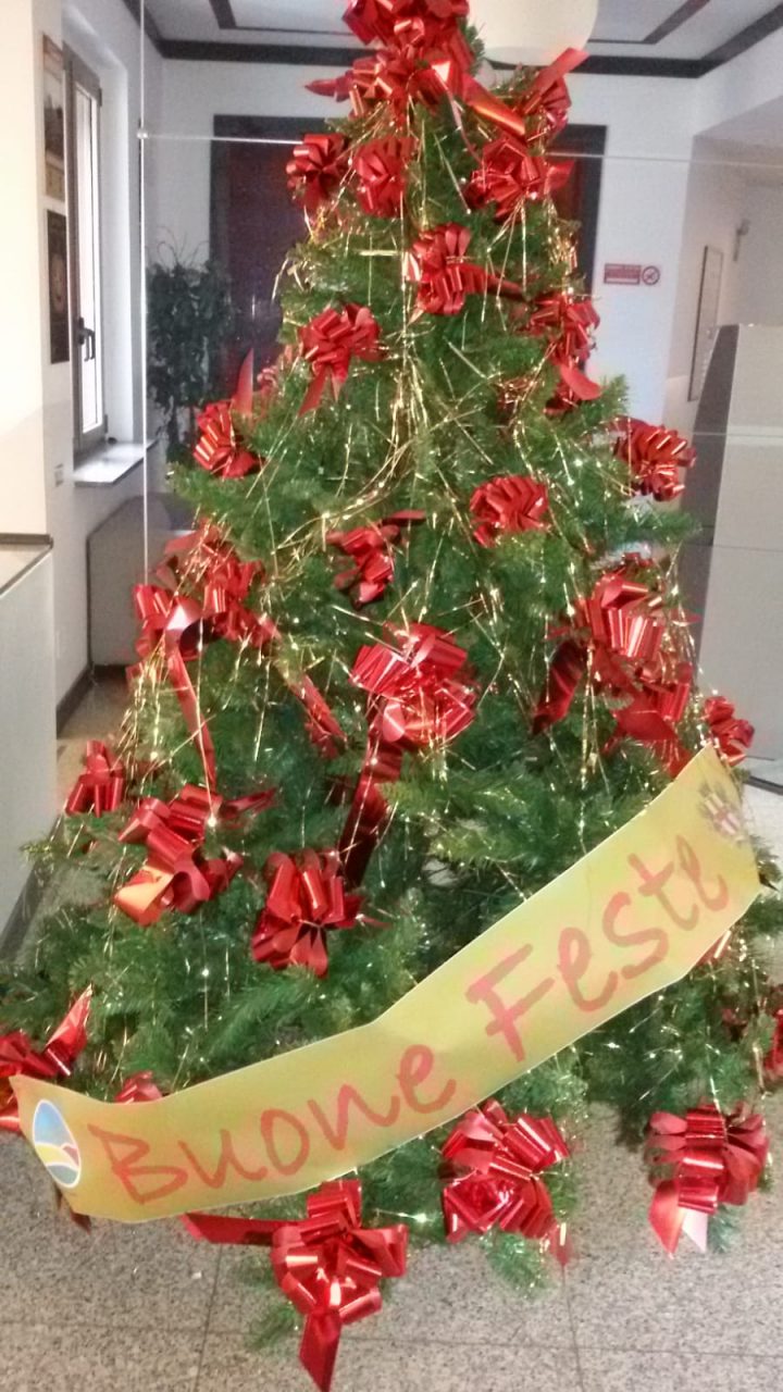 Da AMAG e Comune di Alessandria Alberi di Natale alle parrocchie dei sobborghi alessandrini