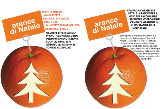 Alessandria: parte la campagna “Arance di Natale”