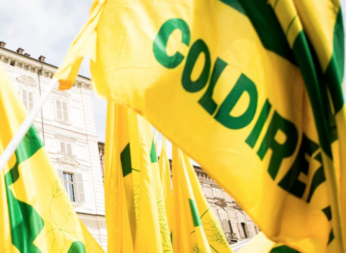 Il mondo Coldiretti a Torino per chiedere di difendere il comparto agricolo