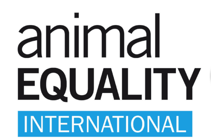 Torino: proteste di Animal Equality