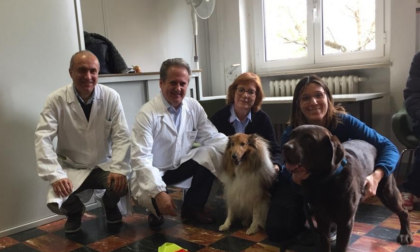 Pet Therapy all’Ospedale di Casale