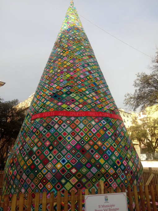 Genova: l’albero da Guinness a San Fruttuoso quasi al completo