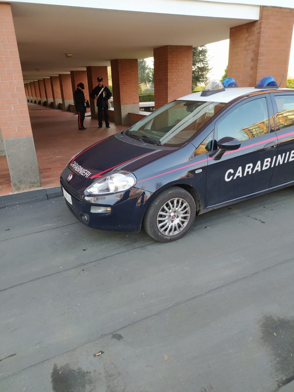 Donna uccisa a martellate dalla mamma
