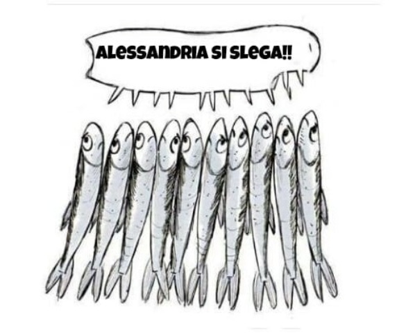 Alessandria, Sardine pronte al Flash Mob di venerdì 6 dicembre