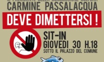 "Passalacqua deve dimettersi!": giovedì sit-in delle Sardine Alessandrine