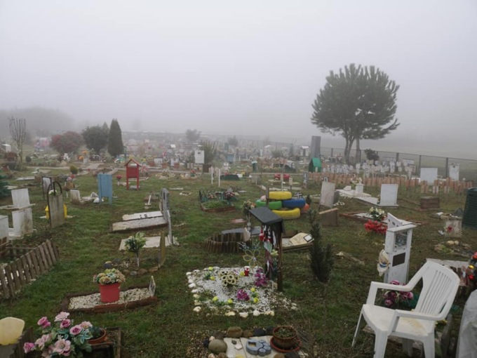 Cimitero degli animali di Alessandria: quale la situazione?