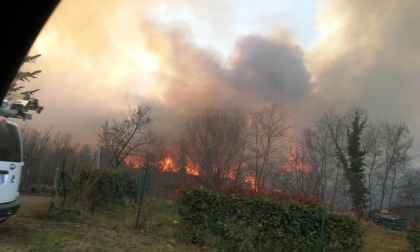 Tortona: le sanzioni per il divieto di combustione di residui vegetale