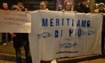 Sardine Alessandria chiedono le dimissioni di Passalacqua