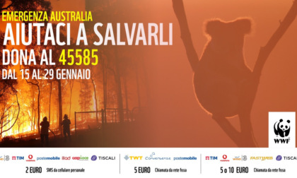 Incendi Australia: Il WWF attiva il numero solidale 45585