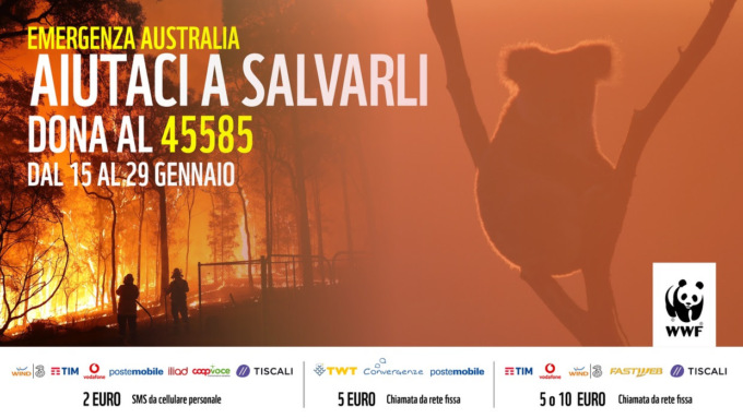 Incendi Australia: Il WWF attiva il numero solidale 45585