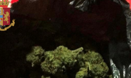 Ivrea: due arresti per droga nel weekend