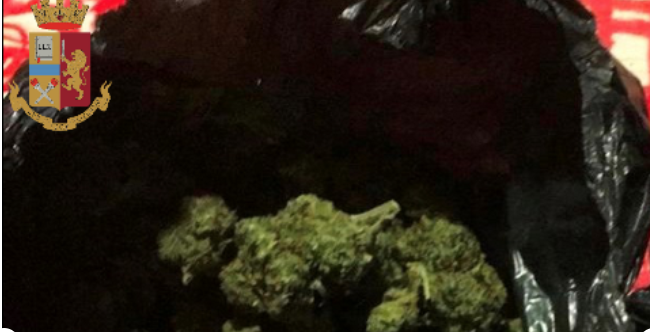 Ivrea: due arresti per droga nel weekend