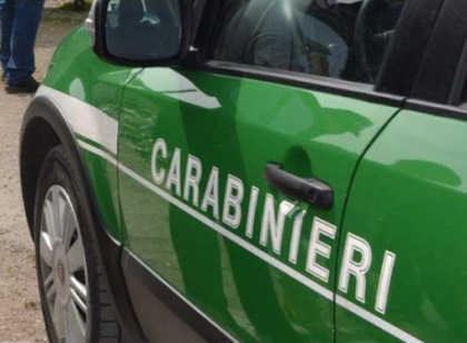 Rifiuti abbandonati, indagine dei Carabinieri Forestali di Stazzano: denunciati responsabili