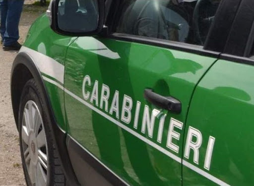 Carabinieri Forestali Piemonte, il bilancio dell’attività nel 2023