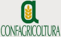 Confagricoltura: crescono reti d’impresa e le aziende agricole che vi aderiscono