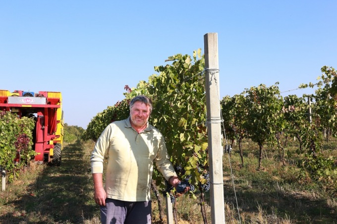 Export Usa: il nostro vino da 3 a 32 euro se i dazi saranno al 100%