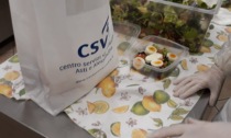 Caritas Alessandria: Tavola Amica si sposta all'aperto