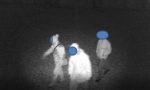 Invadono proprietà privata alla ricerca di tartufi, denunciati 4 giovani (uno minorenne) FOTO