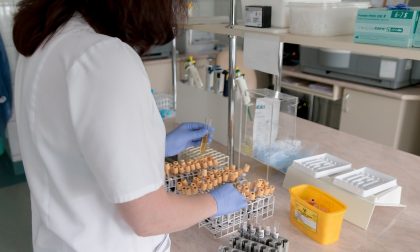 Coronavirus in Piemone, i dati aggiornati: 3.300 contagi in provincia di Alessandria