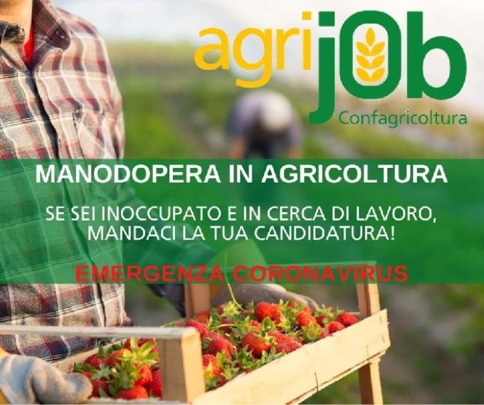 Emergenza manodopera: con ‘Agrijob’ Confagricoltura fa incontrare domanda e offerta