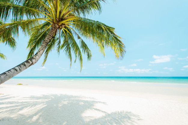 L’ansia della prova costume alle porte delle vacanze