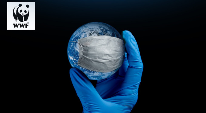 Clima, WWF: Il legame tra cambiamento climatico e malattie trasmissibili