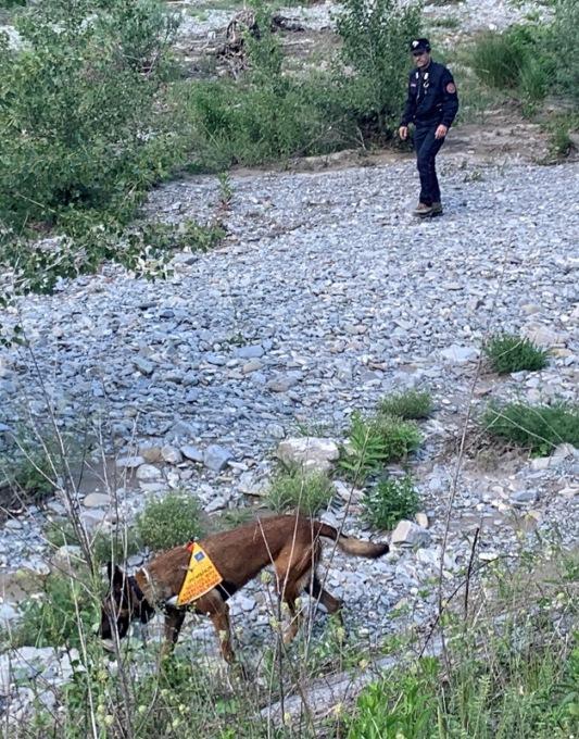 Carabinieri forestali di Alessandria: bonifica in seguito al decesso di un cane per avvelenamento