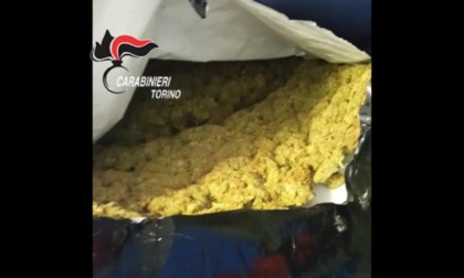 Droga a Torino: tre arresti e sequestri di stupefacente
