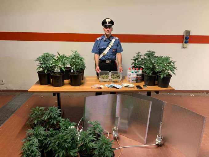 Torino, barattoli di marijuana tra spezie e aromi, arresto dei Carabinieri