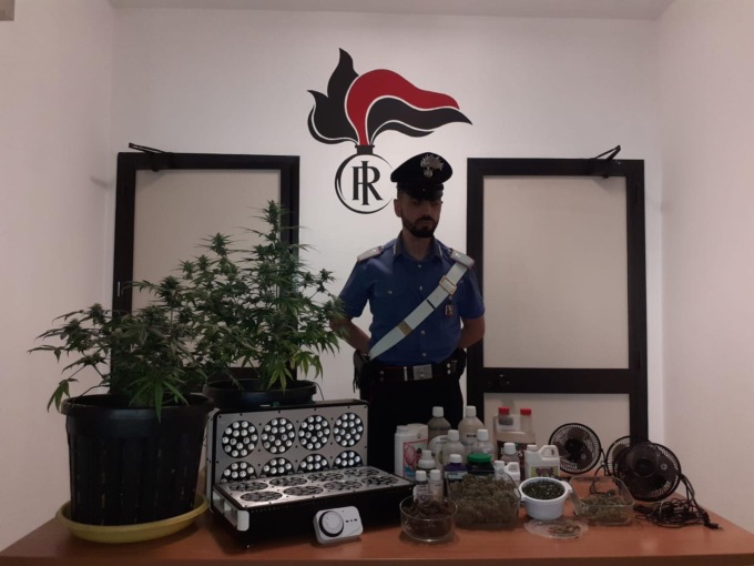 Ivrea: nasconde serra di marijuana in casa, arrestato
