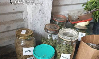Sequestrati oltre 120 kg di droga a Lu e Cuccaro Monferrato