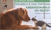 Alessandria, campagna informativa contro l’abbandono degli animali