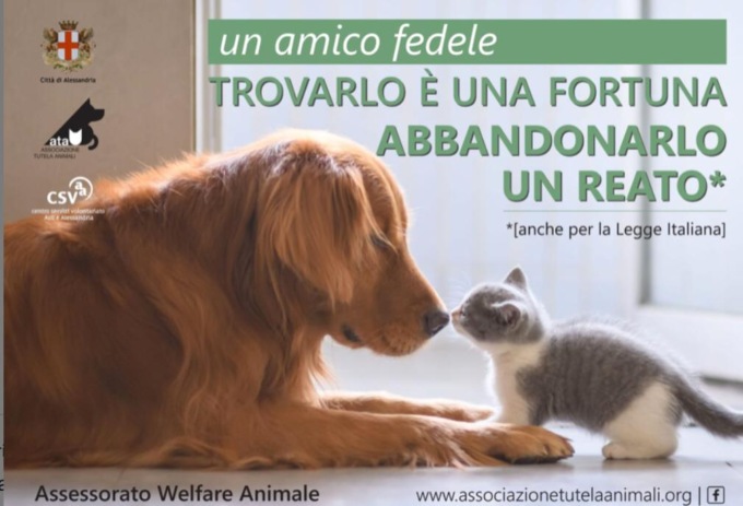 Alessandria, campagna informativa contro l’abbandono degli animali