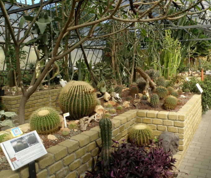Il Giardino Botanico di Alessandria riapre lunedì 6 luglio