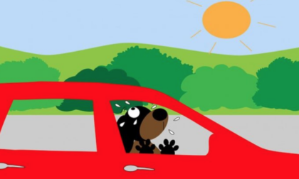 “È estate anche per loro, non abbandonarli!”