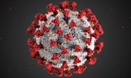Coronavirus Liguria: 40 nuovi positivi e 3 decessi