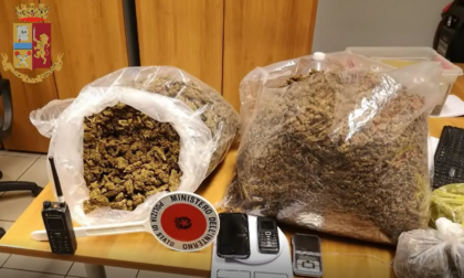 Torino: tradito dal selfie, Polizia sequestra 8 chili di marijuana