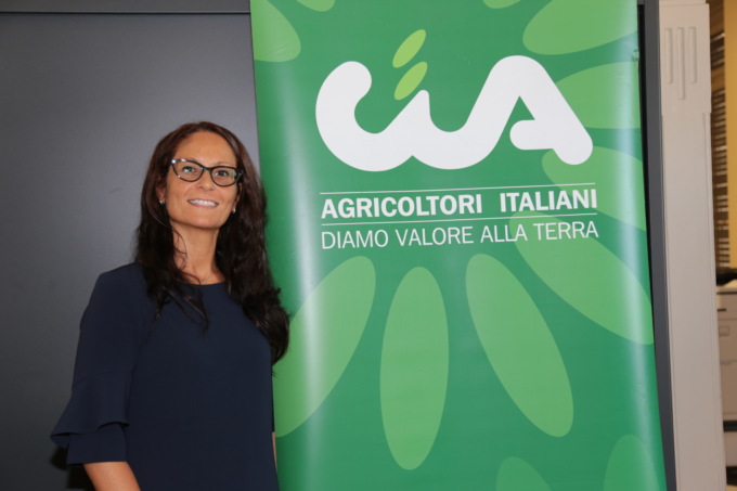 Nocciole: in attesa del prezzo, le aspettative dei produttori