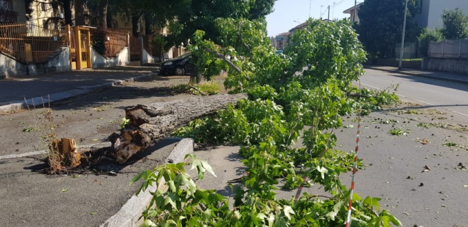 I danni provocati dall’ondata di maltempo in provincia di Alessandria