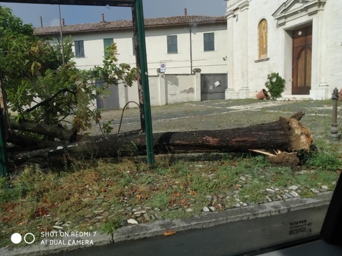 Pozzolo F.ro: alberi caduti a causa del maltempo