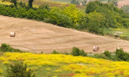 #ThinkSerravalle: alla scoperta delle bellezze del territorio