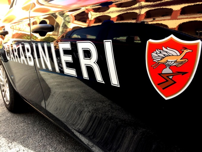 Ottiglio: taglia e ruba legna da terreni non suoi, denunciato