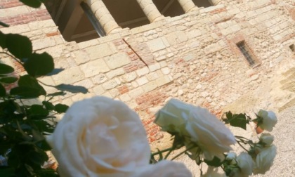 Il Comune di Cella Monte al 4° posto nella Graduatoria del bando del Gal