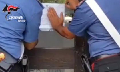 Torino, produzione di marijuana in casa: arrestati due fratelli gemelli