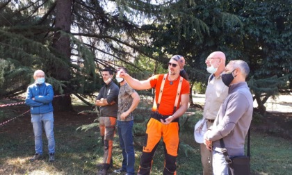 Ovada: un nuovo volto al parco di Villa Gabrieli con il progetto "Arbor day"