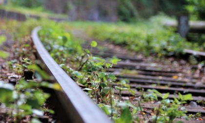 Un webinar dedicato alla difficile situazione delle ferrovie piemontesi