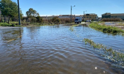 Maltempo Piemonte: dichiarato stato di emergenza
