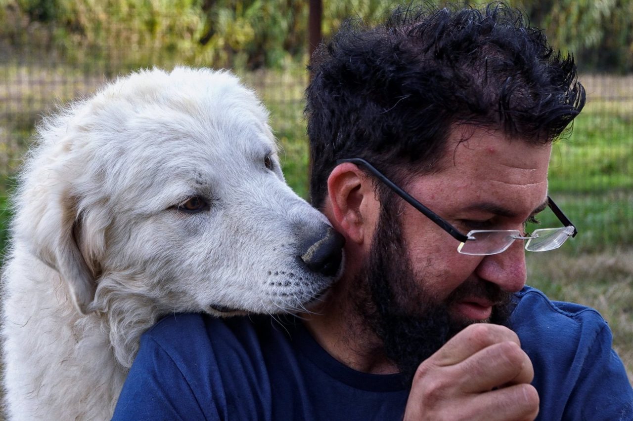 Allevamento di cani da pastore Tortonese in onda su Italia 1
